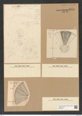 Actinoptychus janischii Grun. (de-Toni-Nr.: Genus 227, Species 5580) Zeichnungen Sammlung Grunow Nr. 9474 (NHMW-BOT-W0379441)